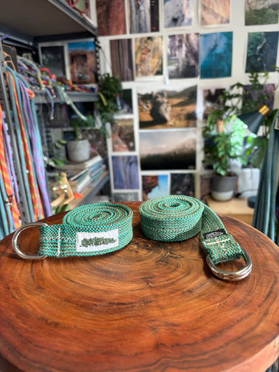 Gecko belt