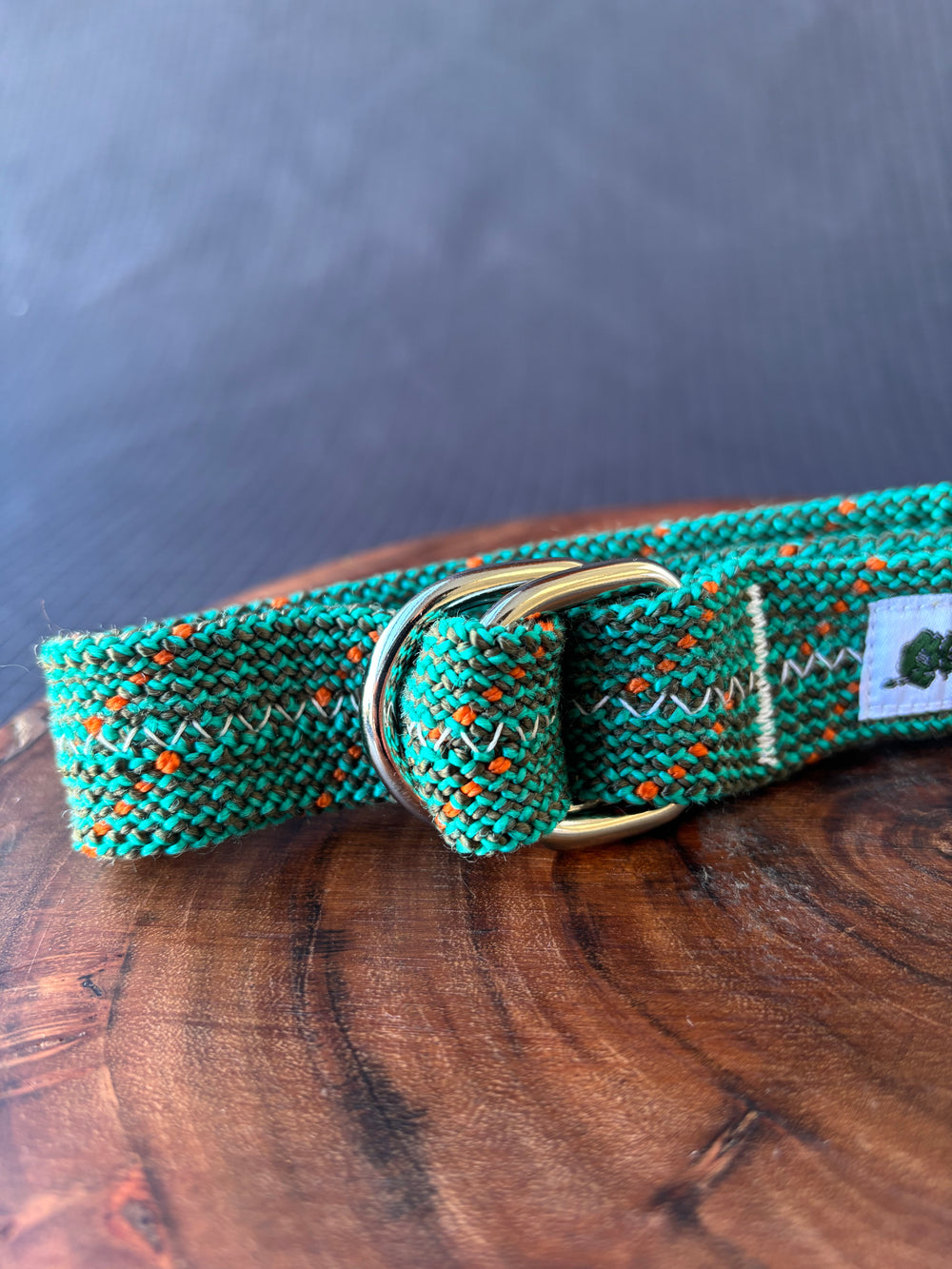 Spiked gecko belt