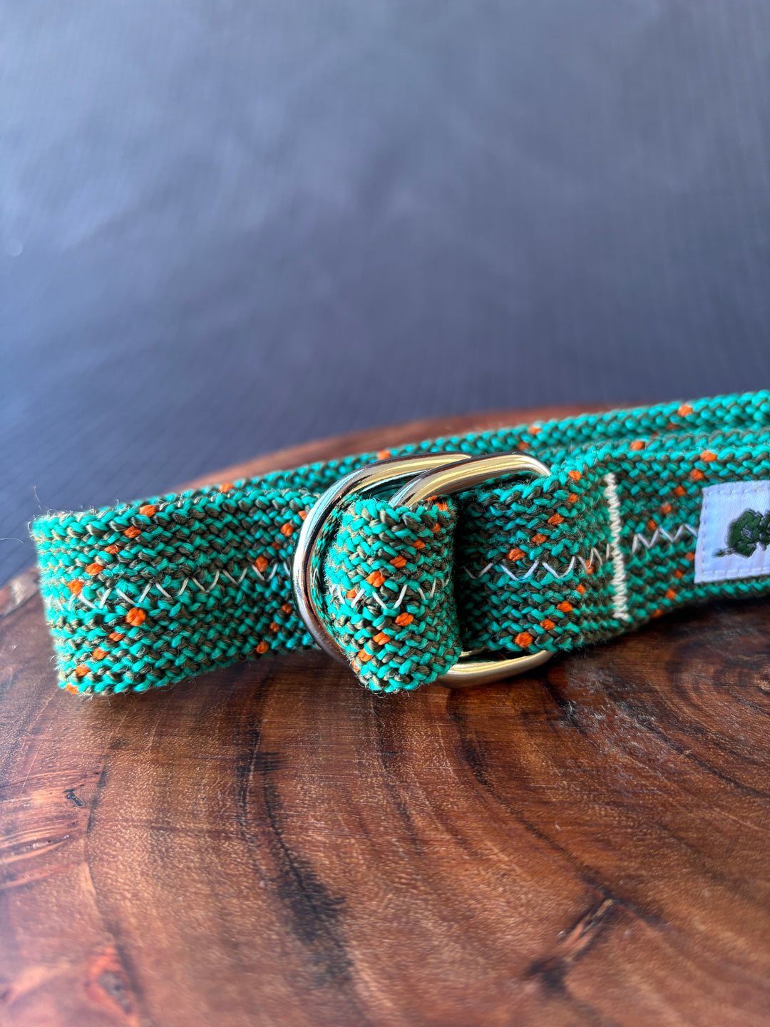 Spiked gecko belt
