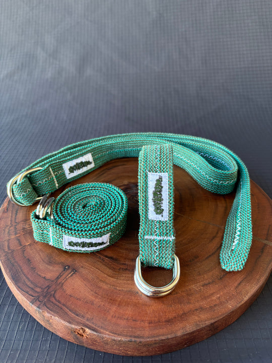 Gecko belt