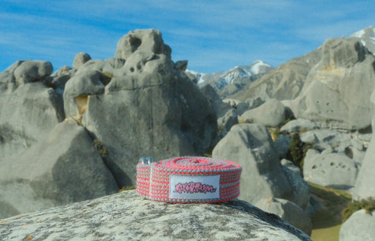 Raspberry Belt
