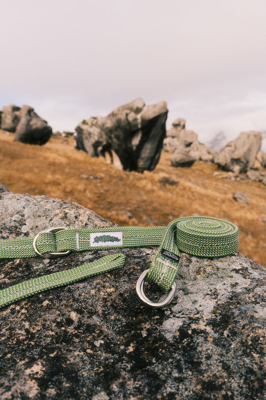 Kiwi belt