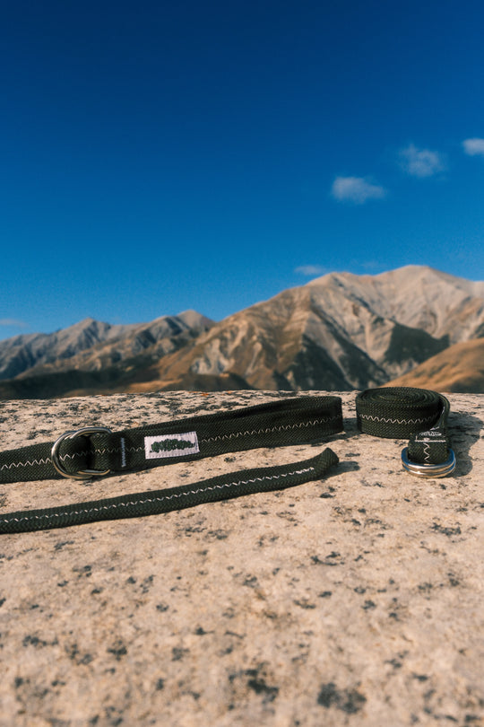 Dark castle belt