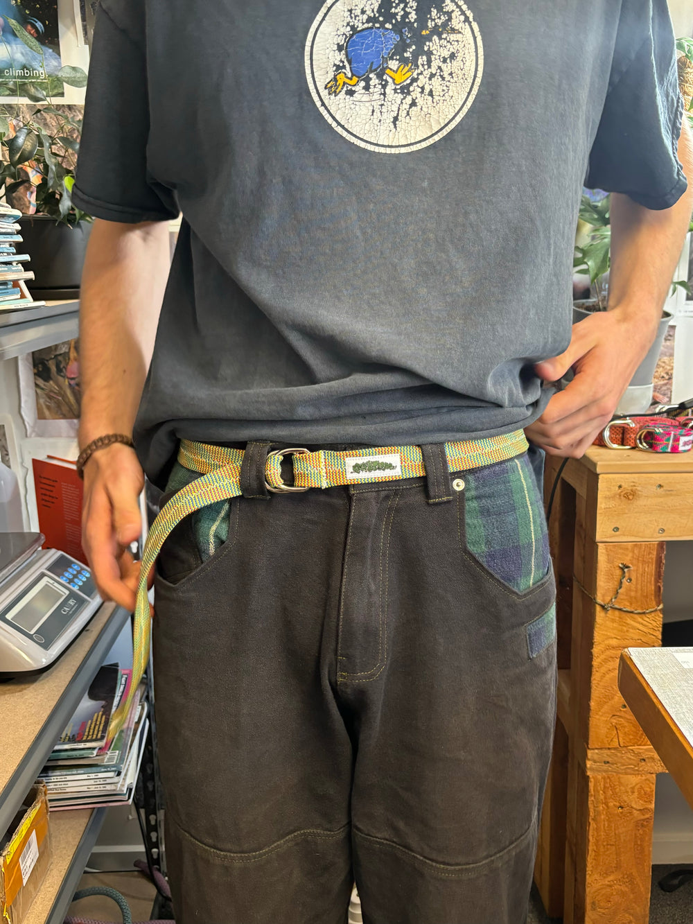 Gecko belt