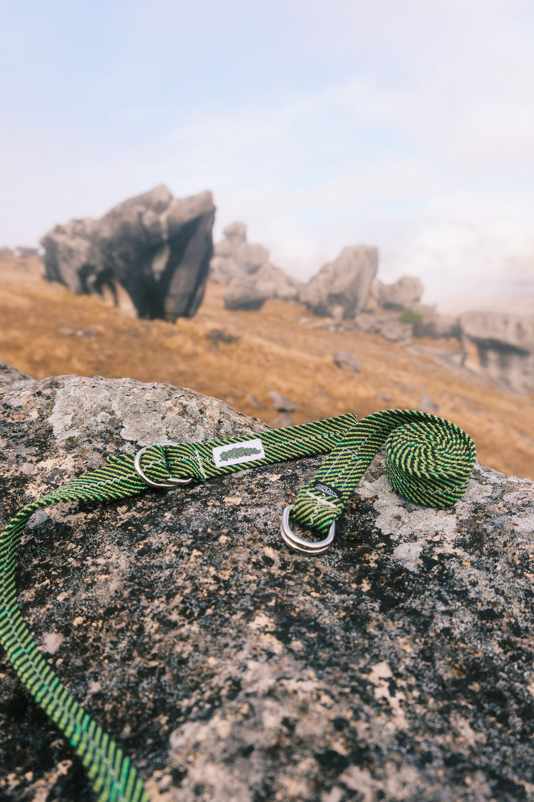 Kiwi burst belt