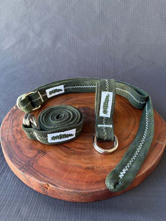 Dark castle belt