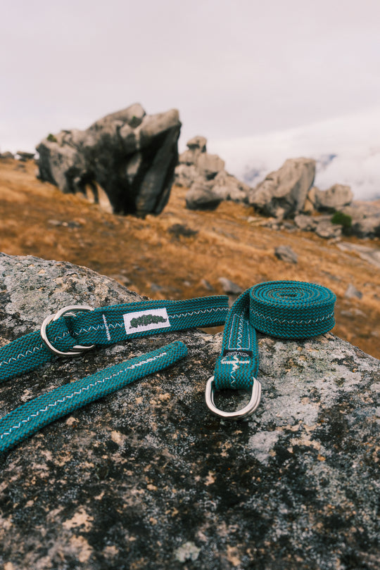 Gecko belt