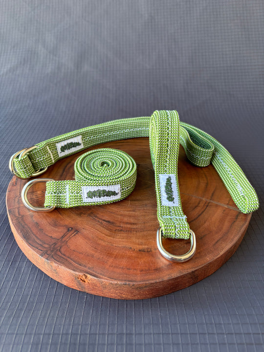 Kiwi belt