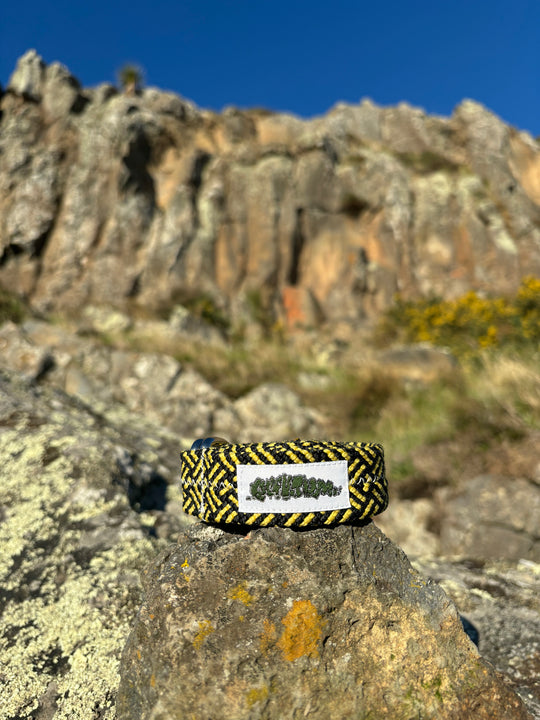 Bumblebee belt