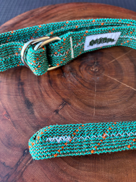 Spiked gecko belt