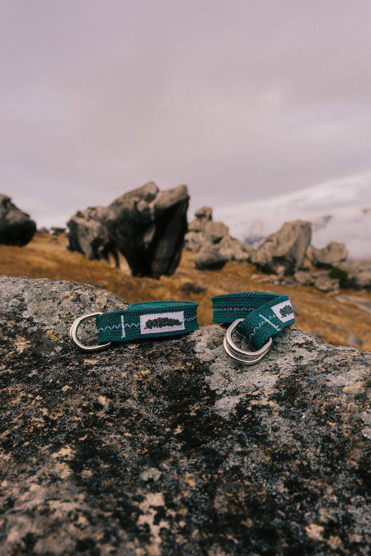 Gecko belt