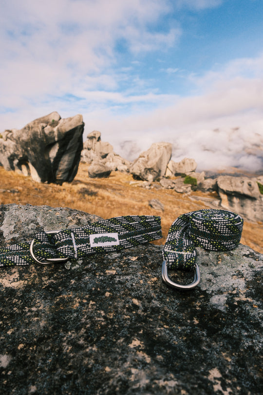 Silver back belt