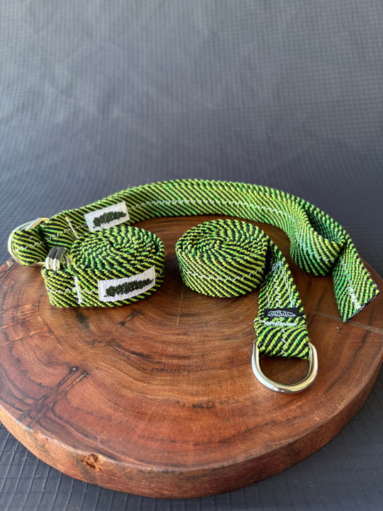 Kiwi burst belt
