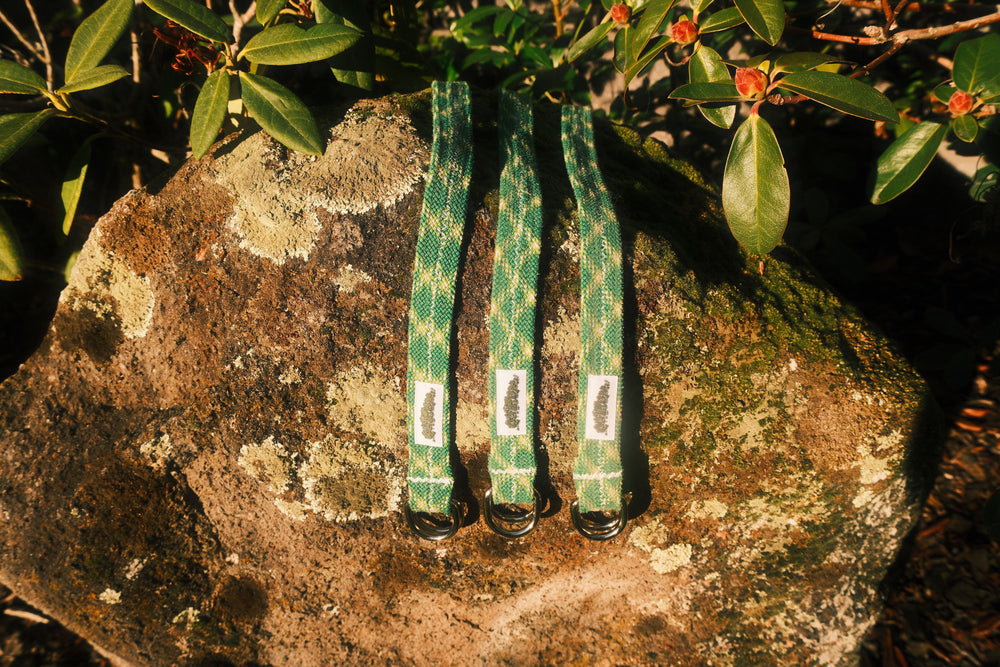 Pine green belt
