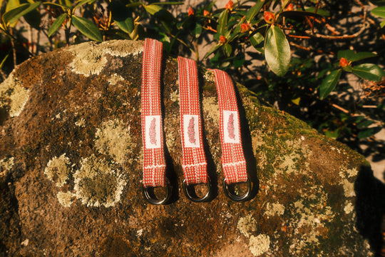 Raspberry Belt