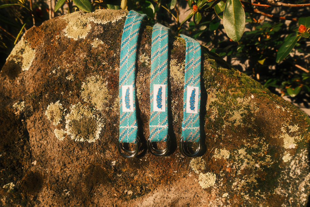 Aqua belt