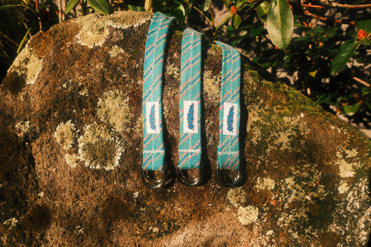 Aqua belt