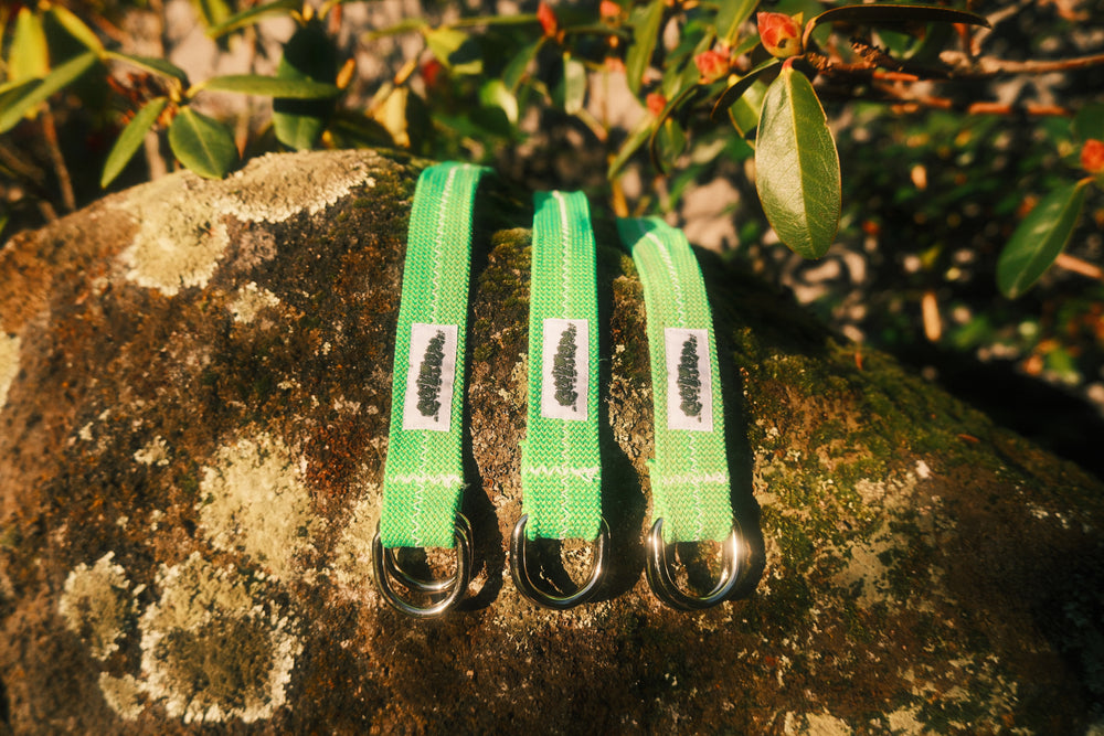 Electric green belt