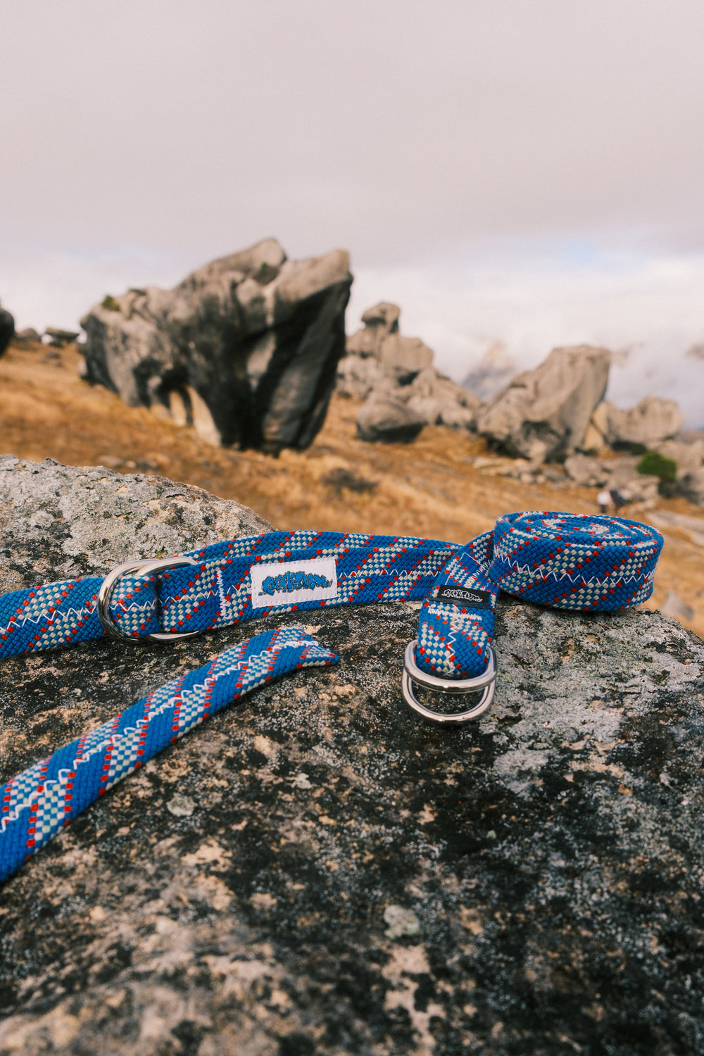 Huckleberry belt