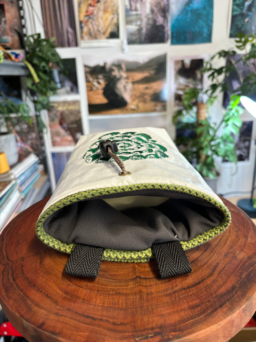 Chalk bag